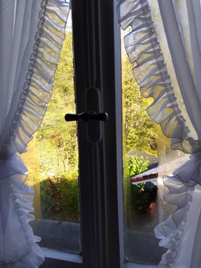Schmoekermuehle Bed & Breakfast Andernach Eksteriør bilde