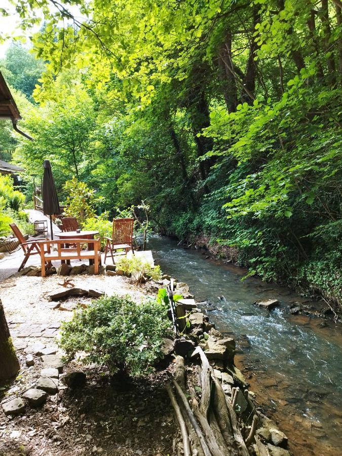 Schmoekermuehle Bed & Breakfast Andernach Eksteriør bilde